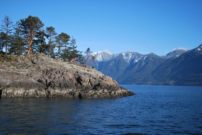Scuba Dive Boat Charter in Vancouver (Certified Divers Only!) - Meeting Point and Departure Time