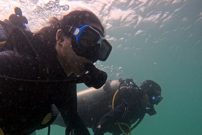 Scuba Dive Experience - Tips for a Safe Scuba Dive