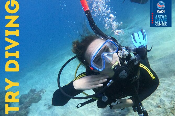Scuba Dive for Beginners in a Turtle Area in Costa Adeje - Positive Experiences and Professional Staff