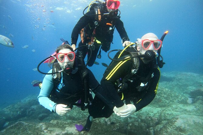 Scuba Dive for Beginners in a Turtle Area in Costa Adeje - Recommendations and Safety