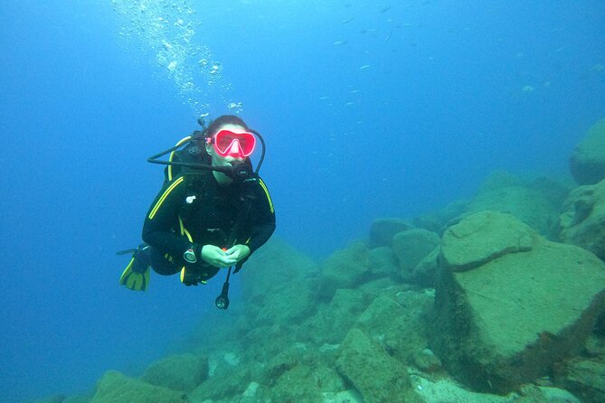 Scuba Dive for Beginners in a Turtle Area in Costa Adeje - The Sum Up
