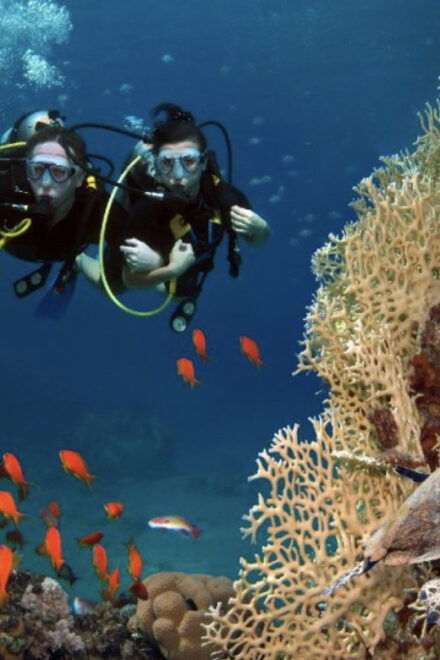 Scuba Dive in Big Wall (Vietnam) - Meeting Point Information