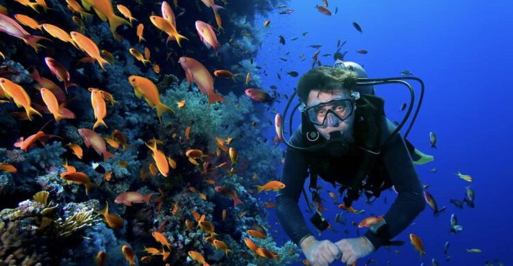 Scuba Dive in Blue Corner - Experience the Thrills