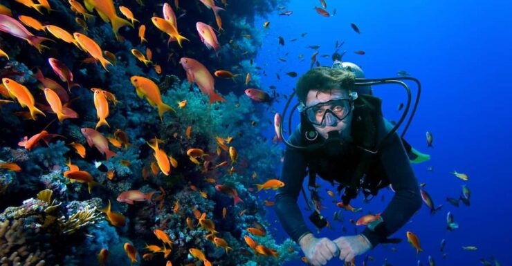 Scuba Dive in Bulldog Reef, Kalpitiya - Scuba Diving Highlights