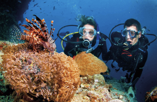 Scuba Dive in Nudibranch Gardens, Phu Quoc - Dive Site Details