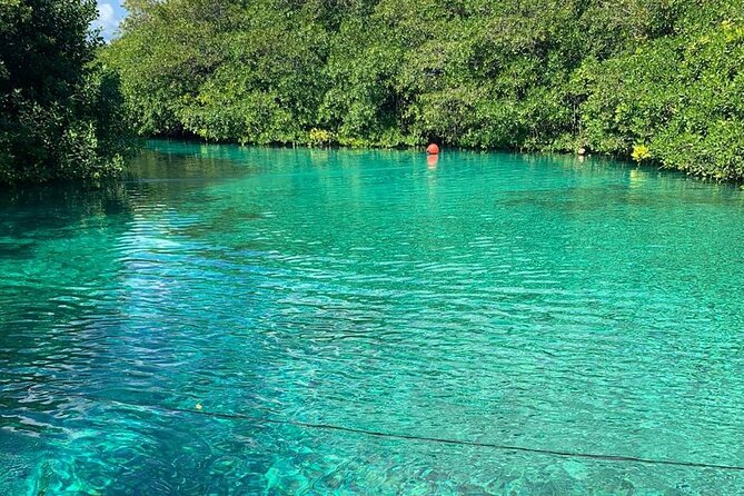 Scuba Dive Through Tulums Cenotes and Reefs - Immersion in the Local Experience