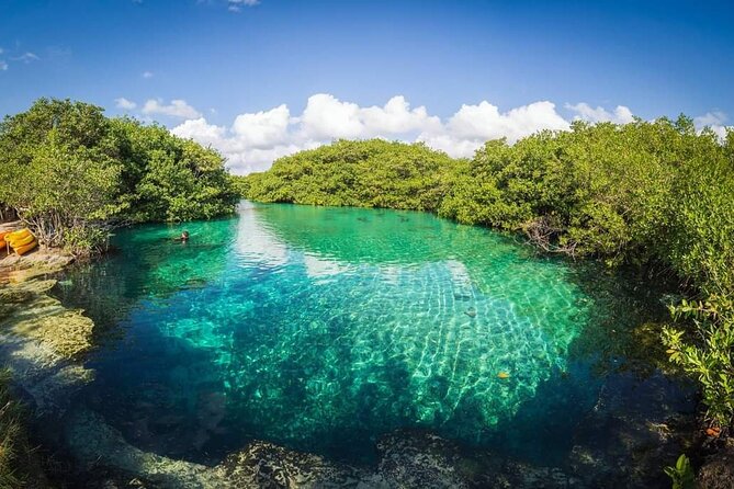 Scuba Dive Through Tulums Cenotes and Reefs - Final Thoughts and Recommendations