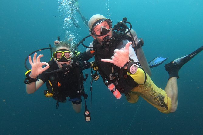 Scuba Dive Trip to Sail Rock From Koh Phangan (Certified Divers) - What to Expect