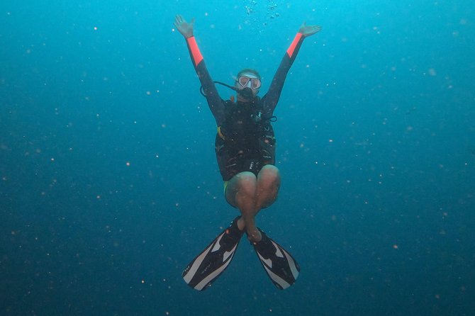 Scuba Dive Trip to Sail Rock From Koh Phangan (Certified Divers) - Additional Information