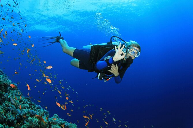 Scuba Dive With Sharing Transfers - Booking Confirmation