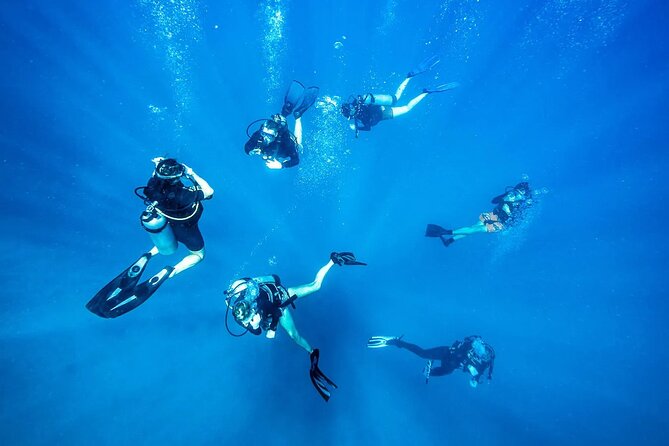 Scuba Dive With Sharing Transfers - Contacting Viator