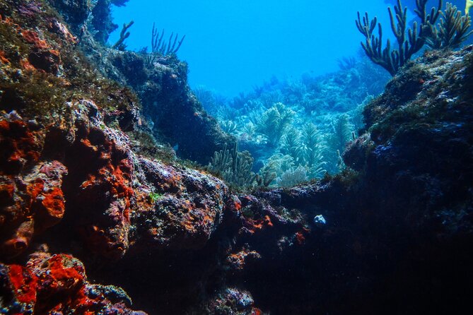 Scuba Diver Certification Course - Meeting and Pickup Details