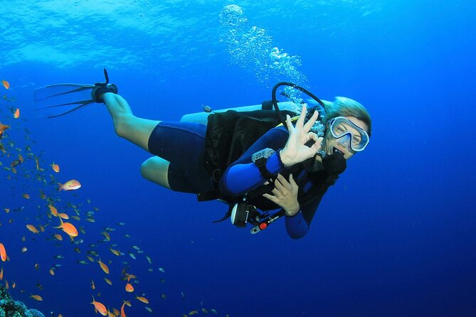 Scuba Diving Activity in Dubai With Hotel Pickup - Activity Overview
