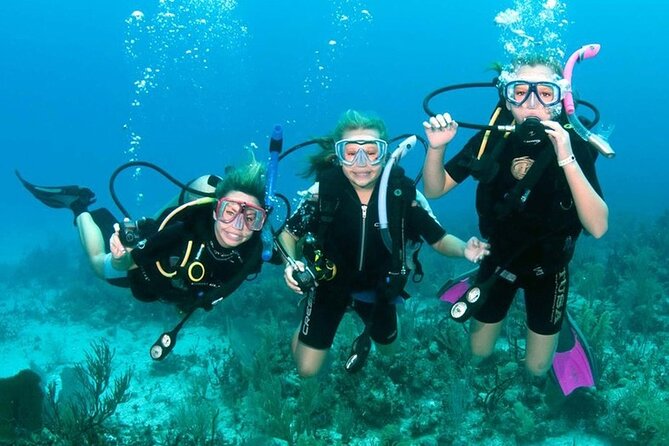 Scuba Diving Activity in Dubai With Hotel Pickup - Scuba Diving Equipment