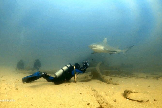 Scuba Diving adventure Cabo pulmo - Who Should Book This Tour?
