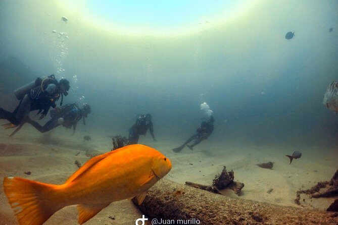 Scuba Diving adventure Cabo pulmo - FAQ