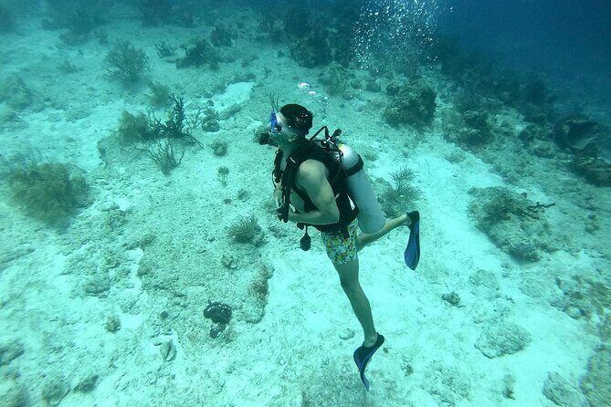 Scuba Diving Adventure in Riviera Maya Small Group Experience - Exploring the Riviera Maya Dive Experience