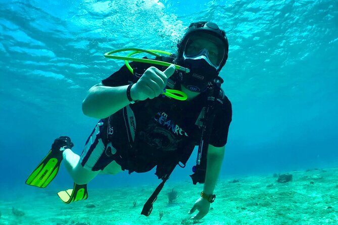 Scuba Diving Adventure in Riviera Maya Small Group Experience - Why This Experience Offers Good Value