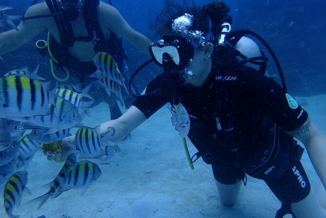 Scuba Diving and Shopping in Montego Bay - Top Shopping Destinations