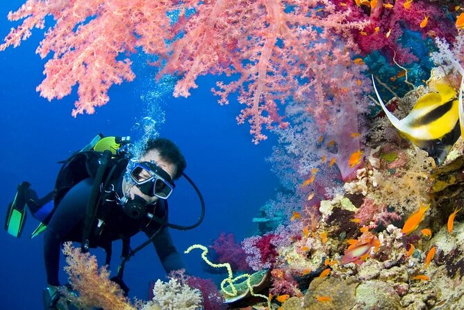Scuba Diving and Snorkeling Trip With Lunch From Hurghada - Logistics