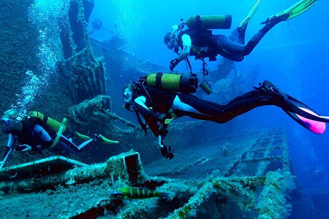 Scuba Diving around the Riviera Maya Reefs - An In-Depth Look at the Riviera Maya Reefs Scuba Tour