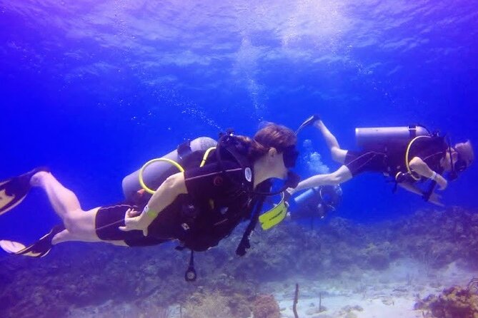 Scuba Diving at Catalina Island (2-Tank Dives - 2 Different Spots) - Good To Know
