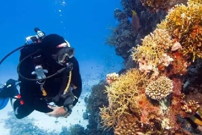 Scuba Diving at Catalina Island (2-Tank Dives - 2 Different Spots) - Boat Departure and Safety Briefing