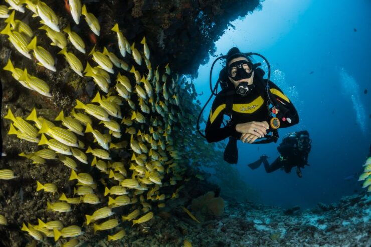 Scuba Diving at Dusk in Mirissa - Discover Underwater Creatures at Dusk