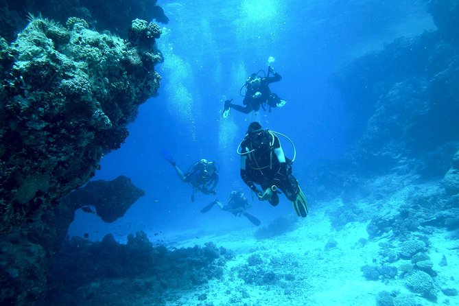 Scuba Diving at Phuket's Anemone Reef - Important Information and Guidelines