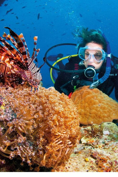 Scuba Diving at Son Tra Peninsula Tour - Good To Know