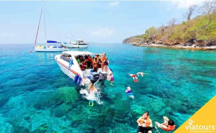Scuba Diving at Son Tra Peninsula Tour - Detailed Itinerary