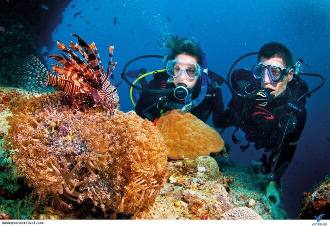 Scuba Diving at Son Tra Peninsula Tour - Experience Highlights