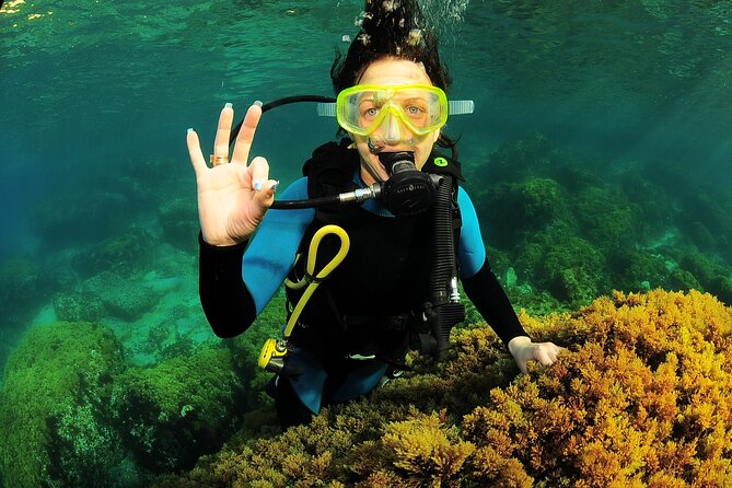 Scuba Diving Baptism and Snorkeling in Ibiza - Must-Have Equipment for Underwater Adventures