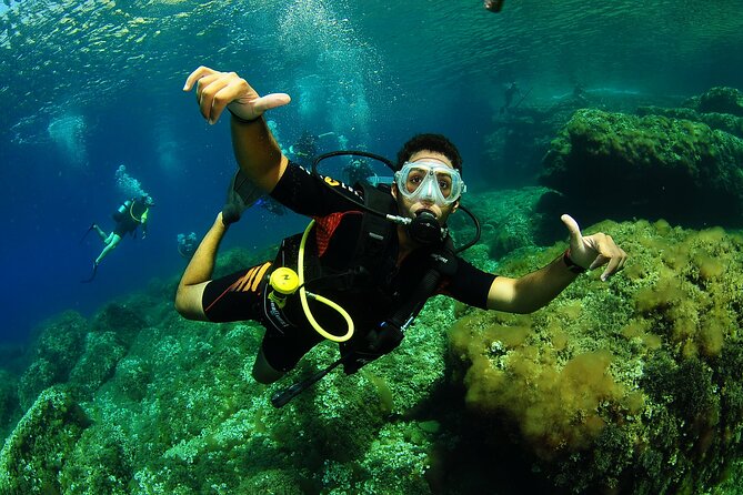 Scuba Diving Baptism and Snorkeling in Ibiza - Common Questions