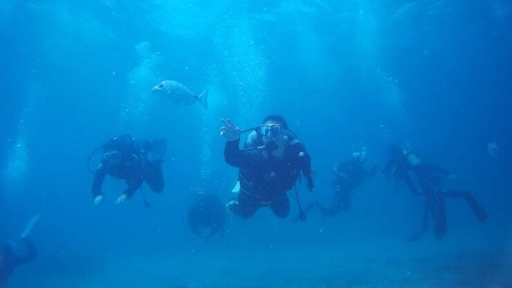Scuba Diving Baptism in Caleta De Fuste - Experience Details