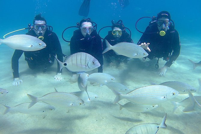 Scuba Diving (Basic Diver - 2 Dives) - Certification Opportunities