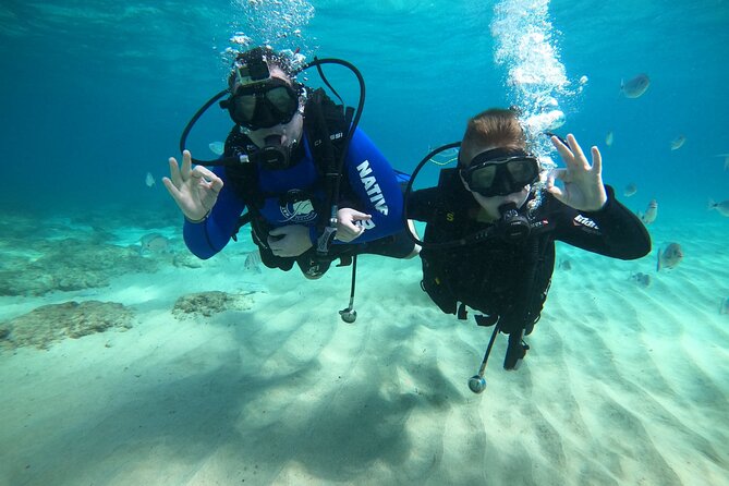 Scuba Diving (Basic Diver - 2 Dives) - The Sum Up