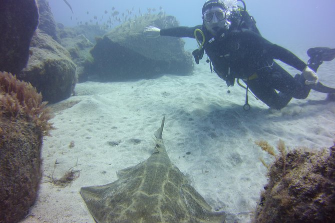 Scuba Diving Beginners Session in Costa Adeje - Details of the Beginners Scuba Diving Course