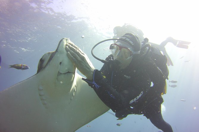 Scuba Diving Beginners Session in Costa Adeje - What to Expect During the Diving Session