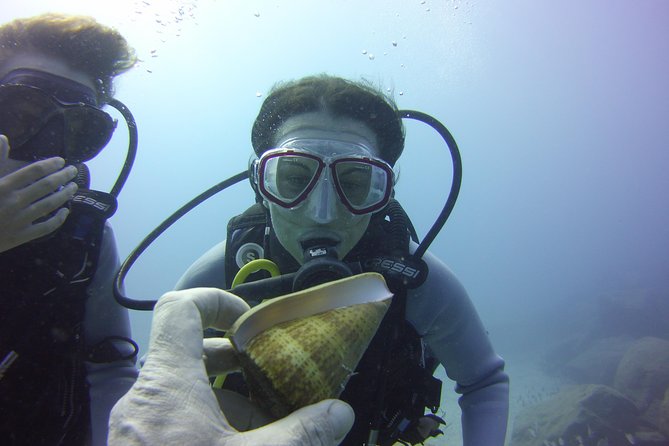 Scuba Diving Beginners Session in Costa Adeje - Cancellation Policy for the Diving Experience