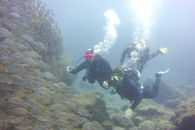 Scuba Diving Beginners Session in Costa Adeje - Common Questions
