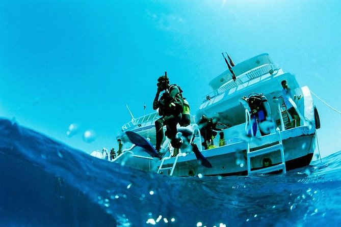 Scuba Diving Boat Trip 2 Stops Diving for Bigenners and Lunch – Marsa Alam - Good To Know