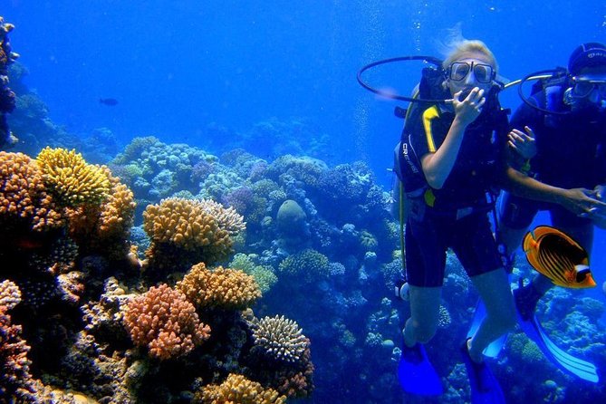 Scuba Diving Boat Trip 2 Stops Diving for Bigenners and Lunch – Marsa Alam - Dive Sites
