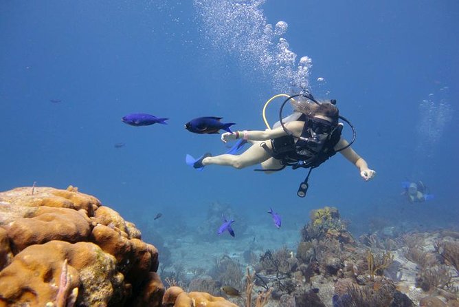 Scuba Diving Boat Trip 2 Stops Diving for Bigenners and Lunch – Marsa Alam - Booking Information
