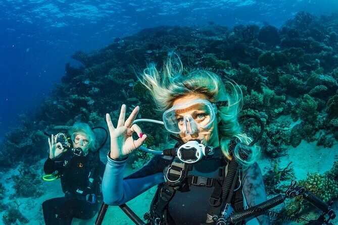 Scuba Diving Catalina Island from Punta Cana - Exploring the Itinerary: From Underwater Marvels to Beach Bliss