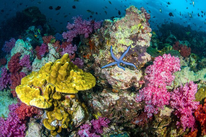 Scuba Diving Daytrip to Racha Yai - Cancellation Policy