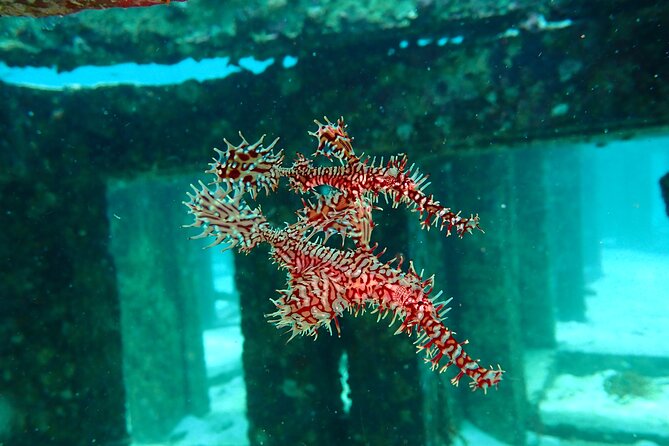 Scuba Diving Daytrip to Racha Yai - Directions