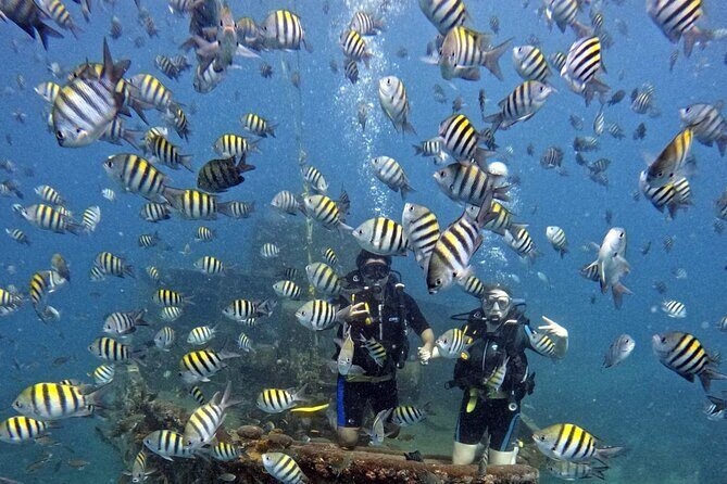 Scuba Diving Discovery in the Crystal Water DE Bayahibe - Good To Know