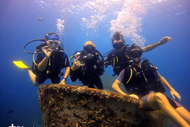 Scuba Diving Discovery in the Crystal Water DE Bayahibe - Why This Tour Offers Great Value