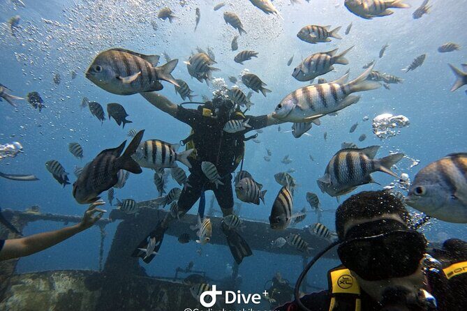 Scuba Diving Discovery in the Crystal Water DE Bayahibe - The Sum Up: Is This Tour Right for You?